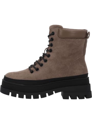 palado Stiefel, Stiefeletten & Boots in taupe