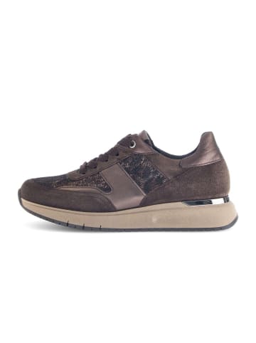 Gabor Comfort Sneaker low in multicolour