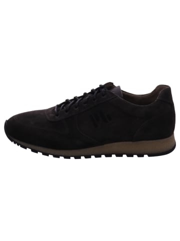 Gabor Herrenschnürschuhe halb sportlicher Boden ( Standard )  in  Grau