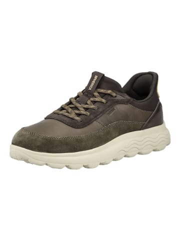 Geox Sneaker in Military