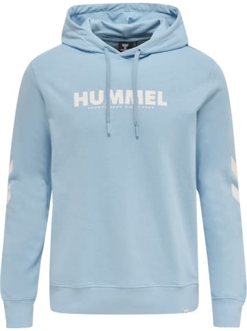 Hummel Hoodie in Blau