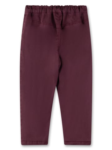 Sanetta Webhose in Rosa