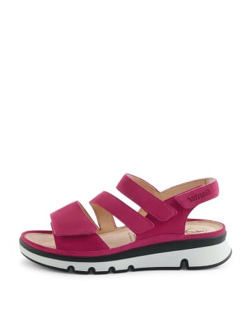 Ganter Riemchen Sandalen für Damen in weinrot