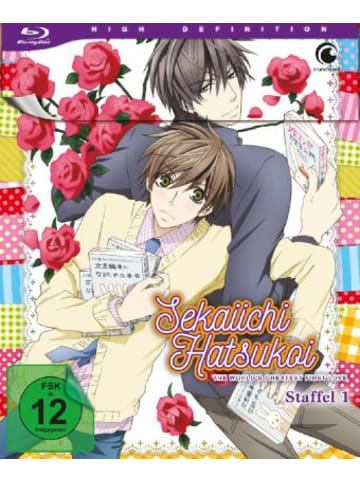 Crunchyroll Film - Sekaiichi Hatsukoi