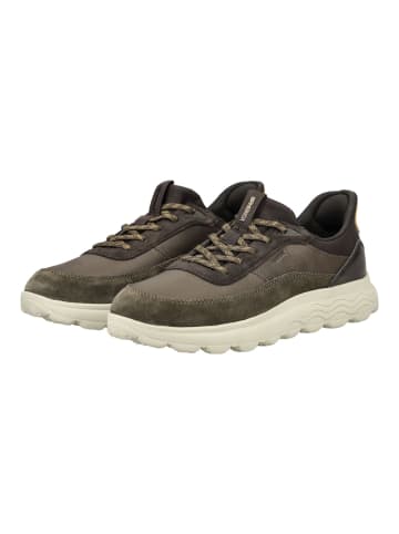 Geox Sneaker in Military