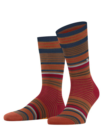 Burlington Socken Stripe in Sierra