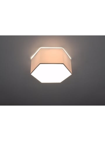 Nice Lamps Deckenleuchte DAGALI 13 in Weiß (L)30,5cm (B)26,5cm (H)13,5cm