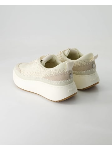 Steve Madden Sneaker low in Weiß