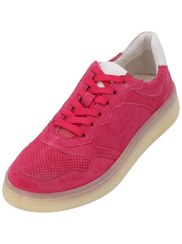 TT. BAGATT Schnürschuhe in Pink