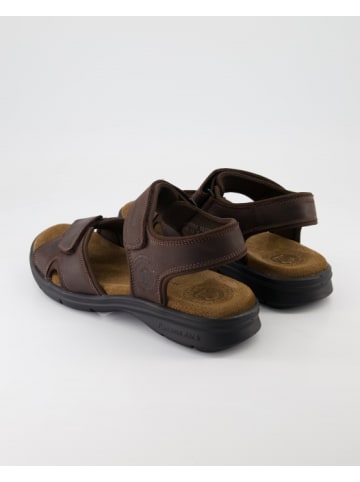 PANAMA JACK Sandalen & Pantoletten in Braun