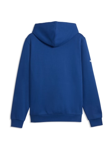 Puma Sweatshirt in Blau