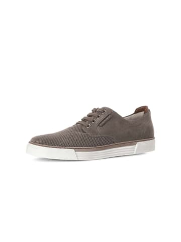 Pius Gabor Sneaker low in grau
