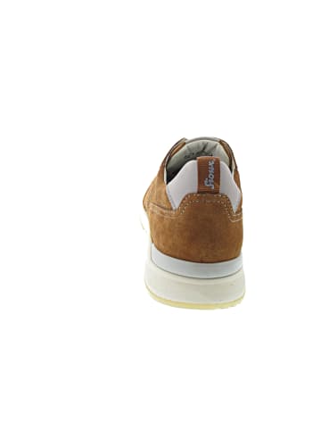 Sioux Giacomino 700 sportlicher Schnürer Braun