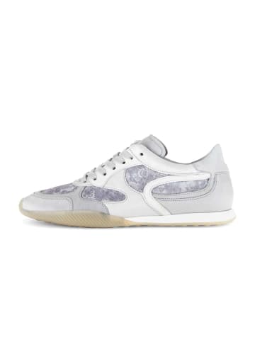 Gabor Sneaker low in grau