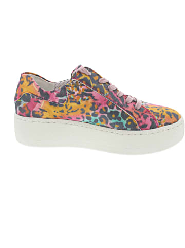 WALDLÄUFER H-Nicky Schnürer Mehrfarbig