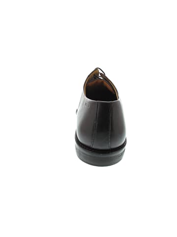 DIGEL Stan Business Schuh Braun