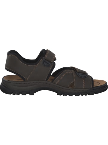 rieker Klassische Sandalen in braun/schwarz