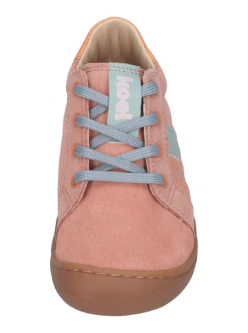 KOEL Sneaker Low BLAKE SUEDE in rosa