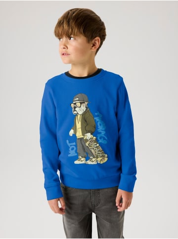 name it Sweatshirt in Skydiver