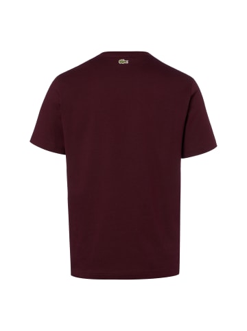 Lacoste T-Shirt in aubergine