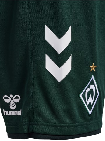 Hummel Hummel Kurze Hose Wer 23/24 Fußball Erwachsene Schnelltrocknend