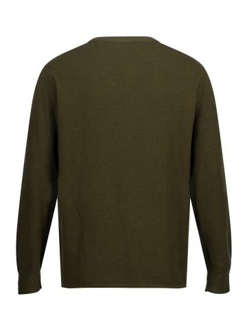 JP1880 Pullover in tannengrün