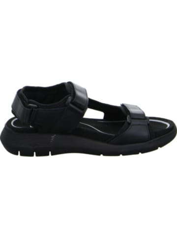 ara Outdoorsandalen für Herren in schwarz