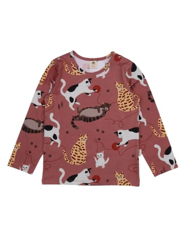 Walkiddy Langarmshirt Mpack Playful Cats-Shirt