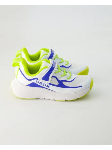 Geox Schnürschuhe in Weiß