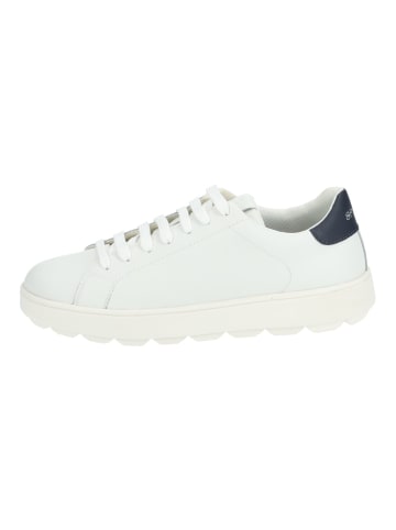 Geox Sneaker Weiß/Navy