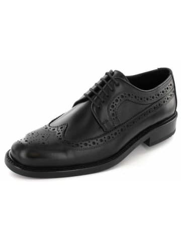 LLOYD Schnürschuhe in schwarz