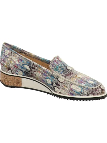 Brunate Pump in bunt