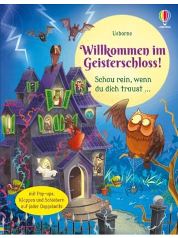 Usborn Buch - Willkommen im Geisterschloss!