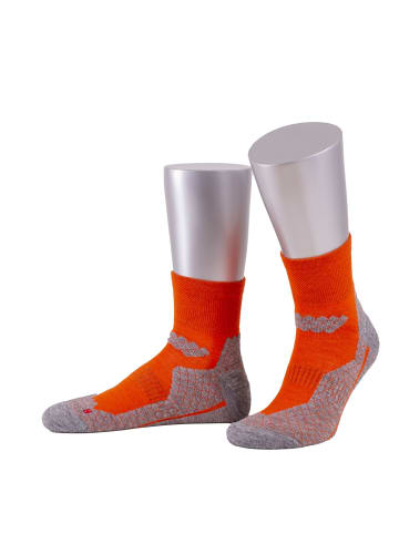 JD J. Dirks All Season-Coolmax-Trekking-Outdoor-Socken kurz OD39S in orange (34)