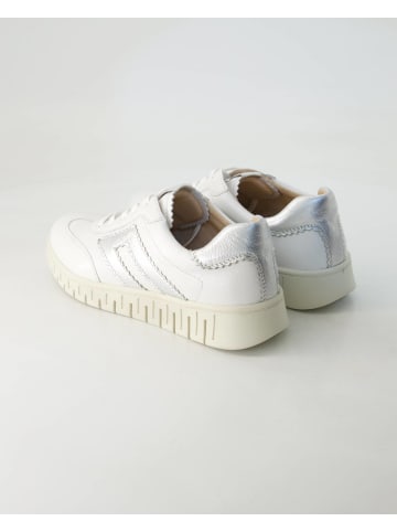 Terry Sneaker low in Weiß