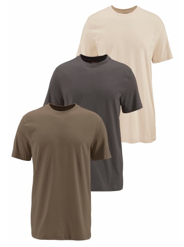 Man's World T-Shirt in olivgrün, dunkeloliv, beige