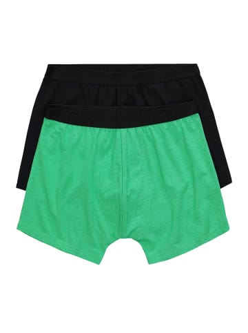 JP1880 Pants in maigrün