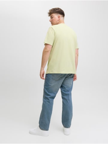 JACK & JONES PLUS T-shirt in Celadon Tint