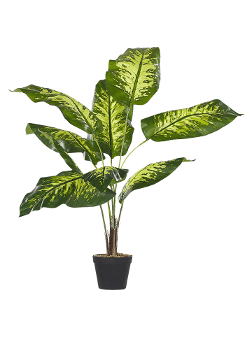 Beliani Kunstpflanze DIEFFENBACHIA in Grün/Schwarz - (W) 16 x (H) 122 x (L) 16 cm