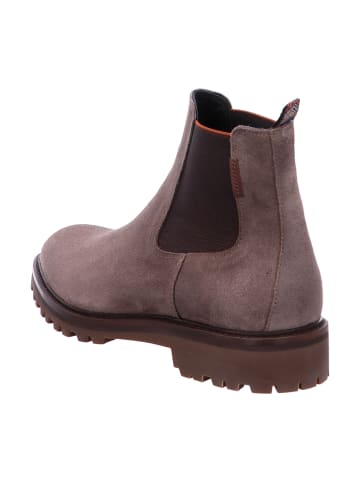 Floris van Bommel Chelsea Boots in Beige