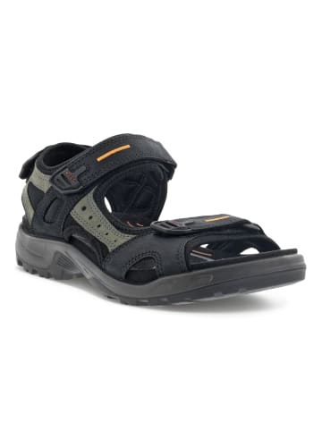 Ecco Outdoorsandalen Offroad in black/mole/blac