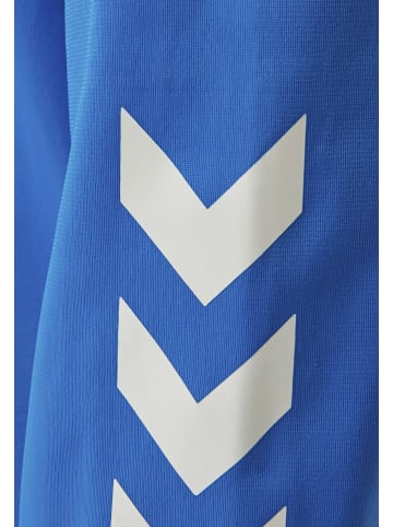 Hummel Hummel Sweatshirt Raglanärmel Hmlpromo Kinder in DIVA BLUE