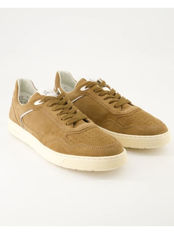 Sioux Sneaker low in Braun