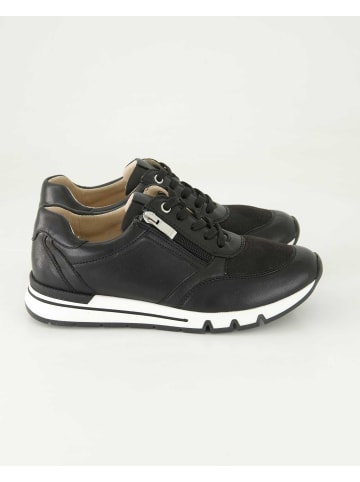 Terry Sneaker low in Schwarz