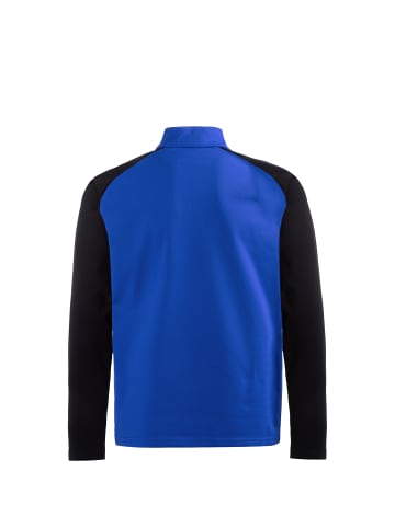 Puma Sweatshirt TeamLIGA 1/4 Zip in blau / schwarz