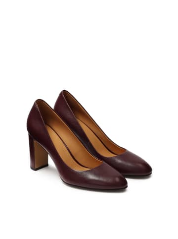 Kazar Pumps in Bordeaux