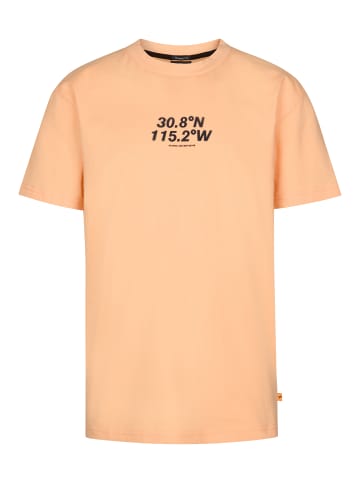 Petrol Industries Bedrucktes Jersey-T-Shirt Roca in Orange