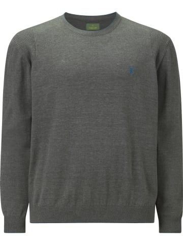 Charles Colby Pullover EARL ARCHIE in grau melange