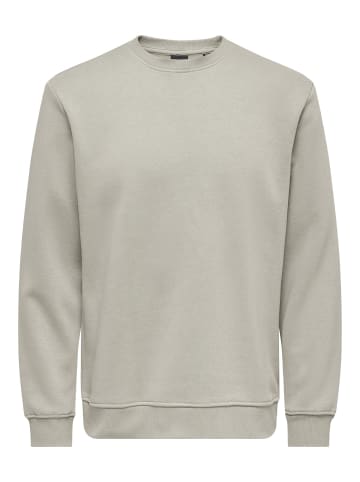 ONLY & SONS Sweatshirt in Silver Lining