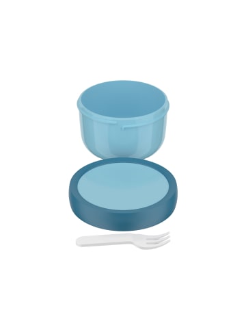 Mepal Fruchtbox Campus in 300 ml in Cool Blue